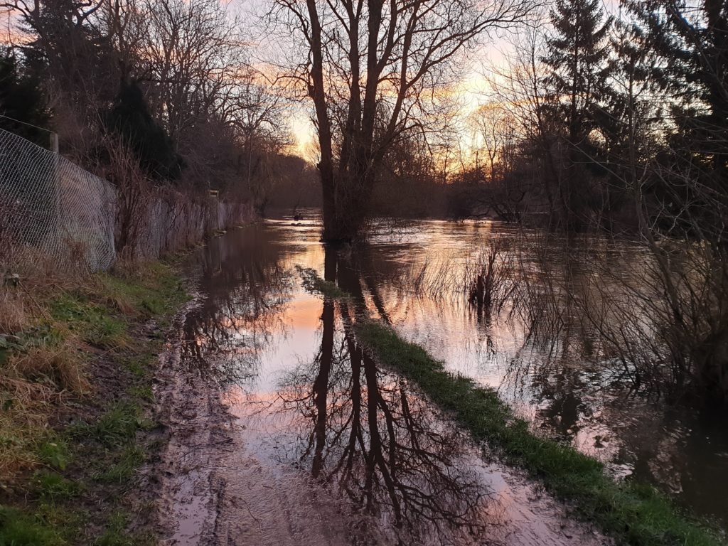 Odense Å-sti - 17. jan